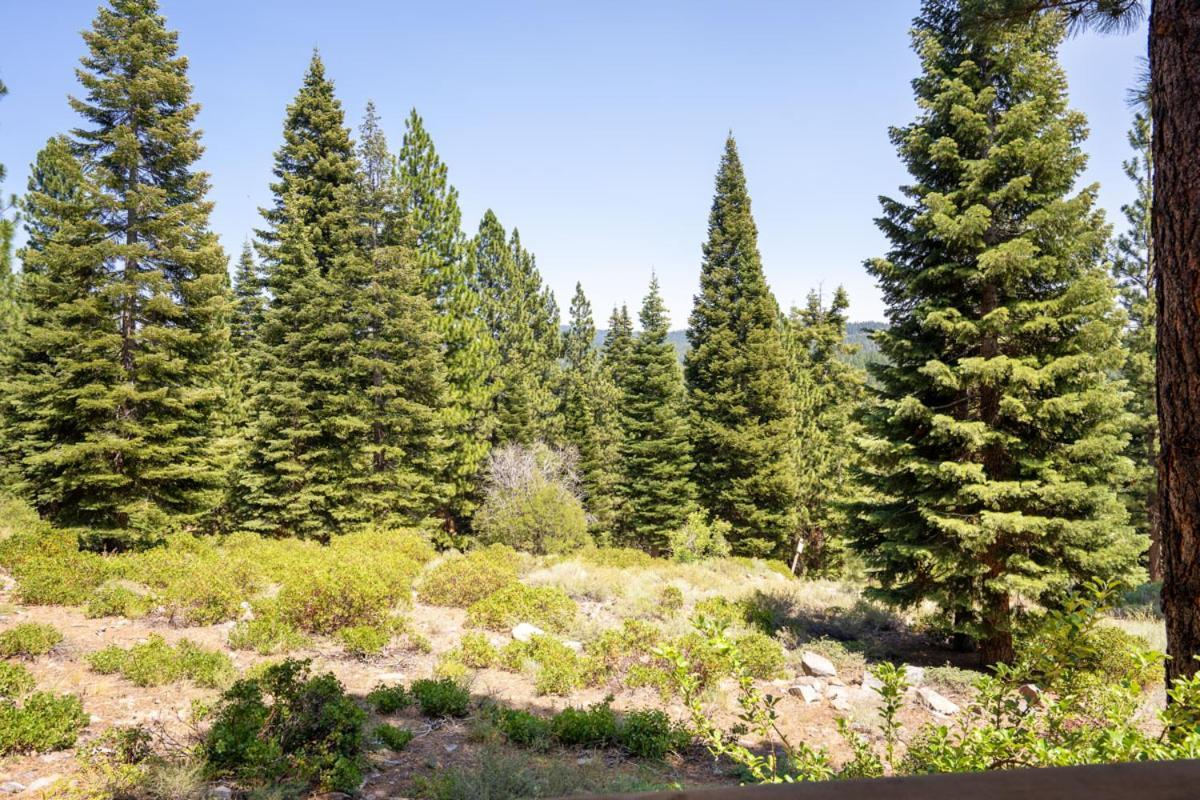 Вилла Northstar - Gold Bend Getaway Траки Экстерьер фото